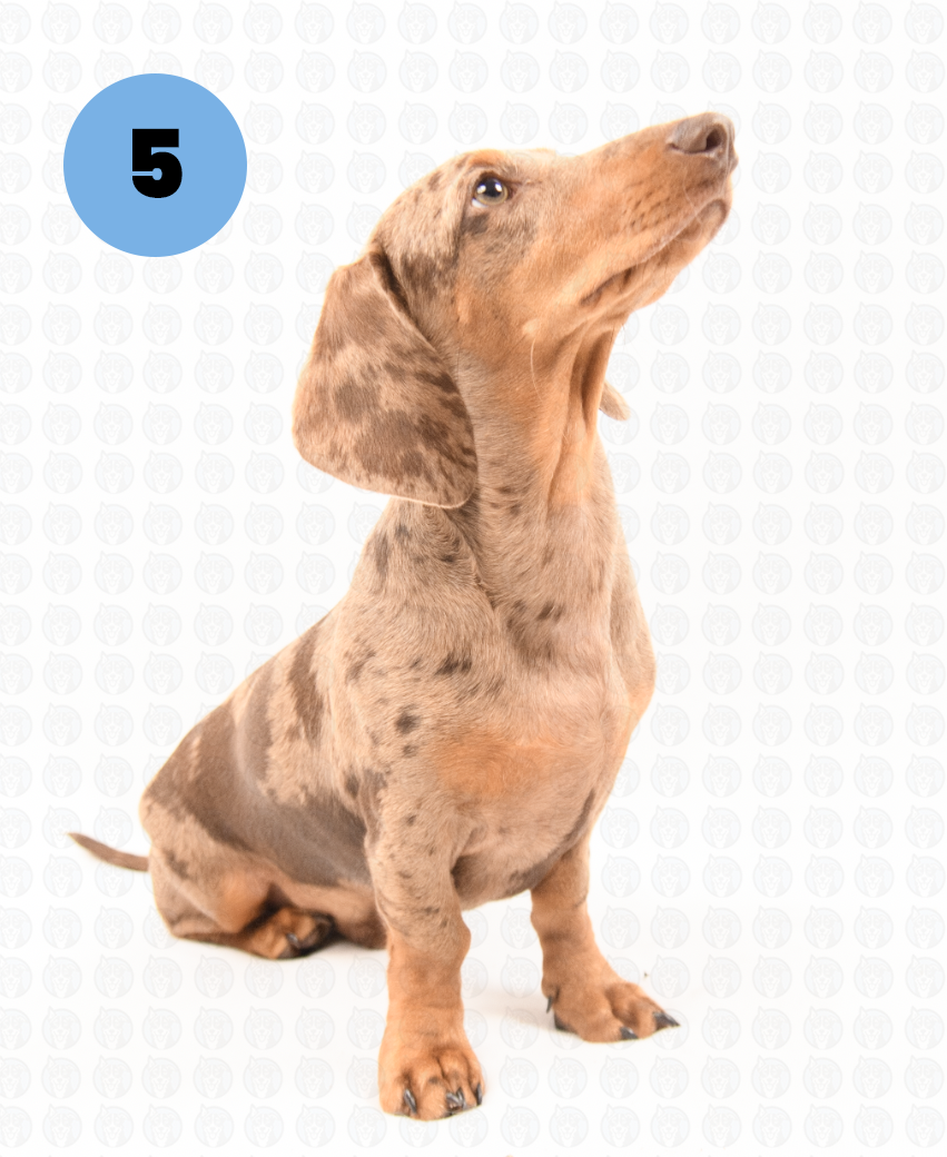 Photographer's Selects of Milton Nolasco