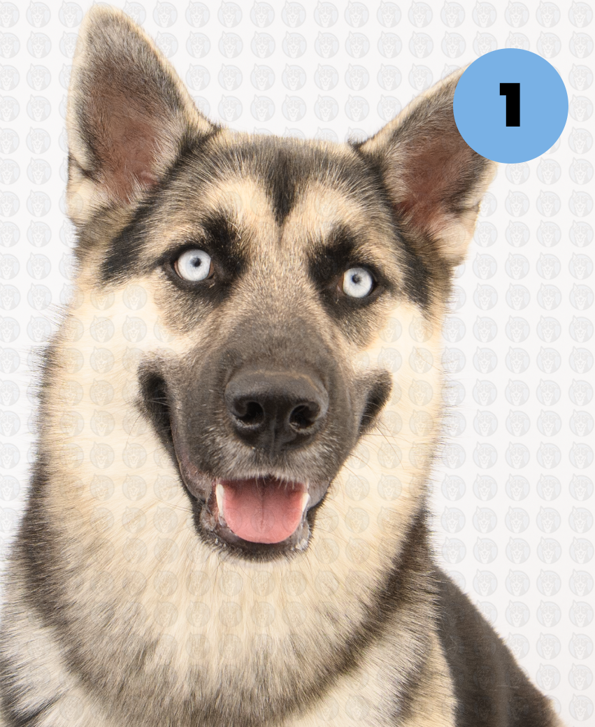 Screenshot 2026-01-12 at 11.39.05 AM copy.png