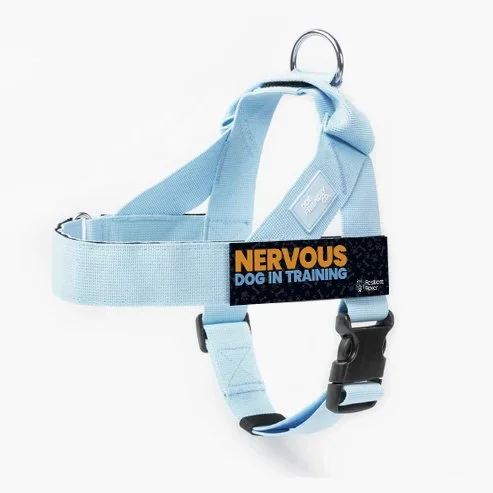Nervous_DF Harness_Sky Blue.jpg