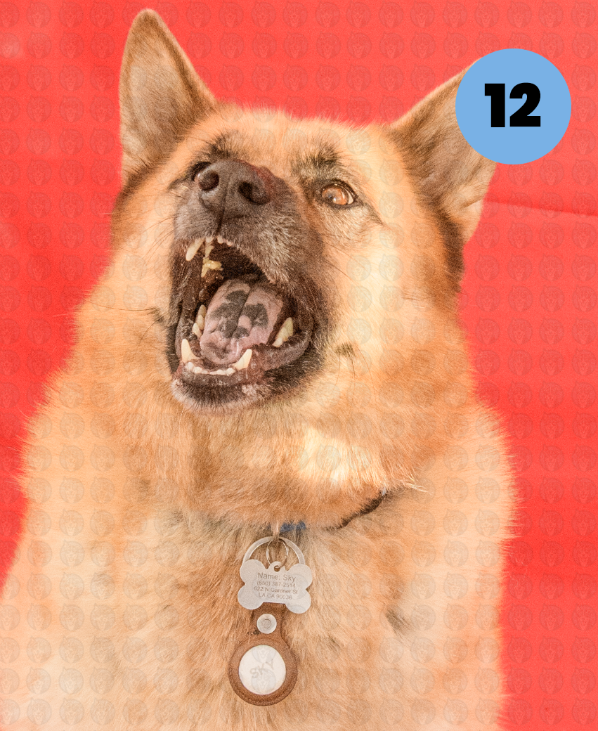 Screenshot 2025-12-10 at 2.56.50 PM copy.png