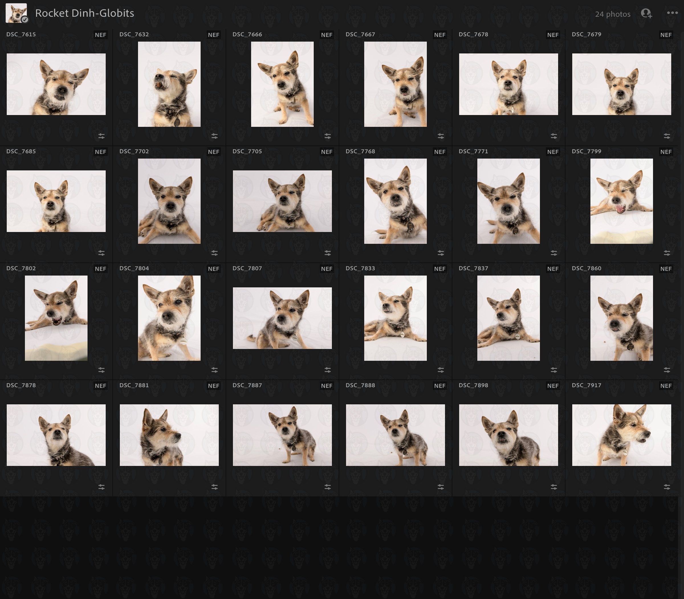 Rocket Grid.jpg