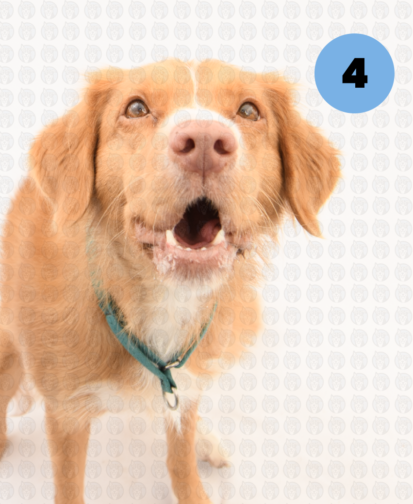 Screenshot 2026-01-12 at 11.35.30 AM copy.png