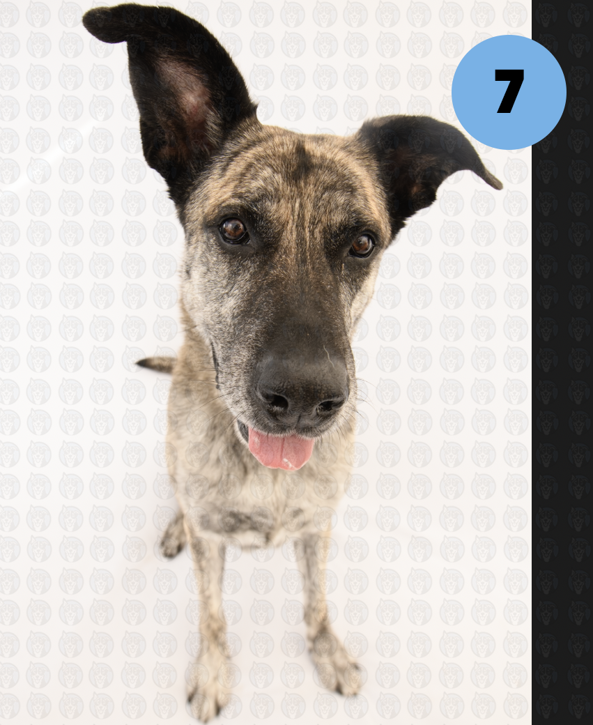 Screenshot 2026-01-12 at 11.22.28 AM copy.png