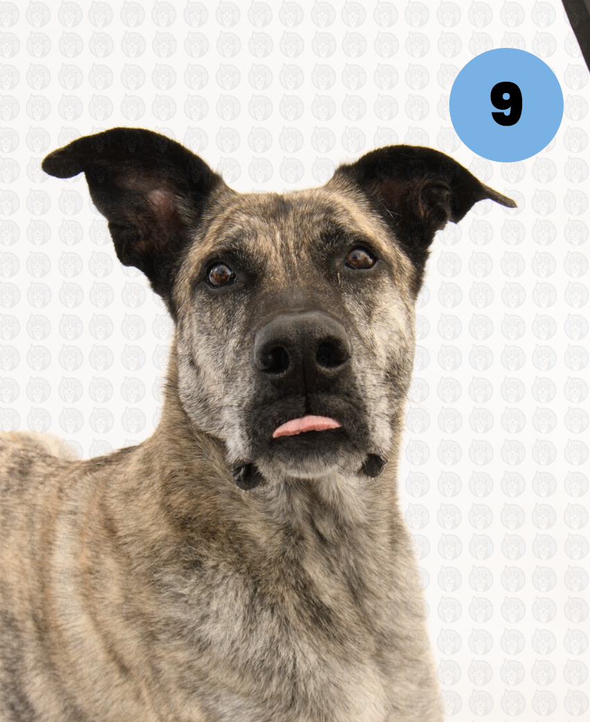 Screenshot 2026-01-12 at 11.22.43 AM copy.png