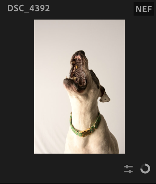Screenshot 2024-12-24 at 7.22.54 AM.png