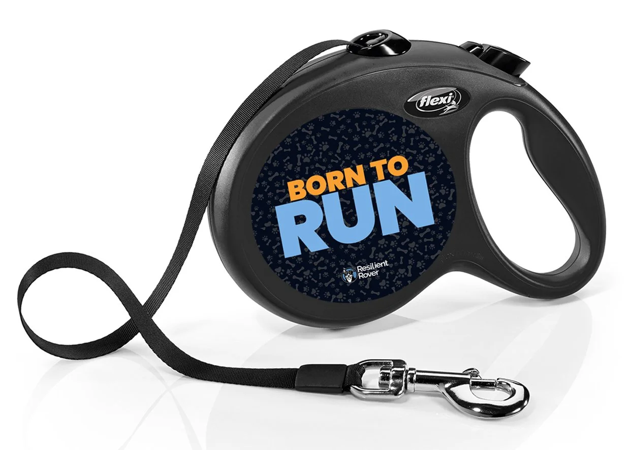 Flexi Retractable Leash with High-Vis Message