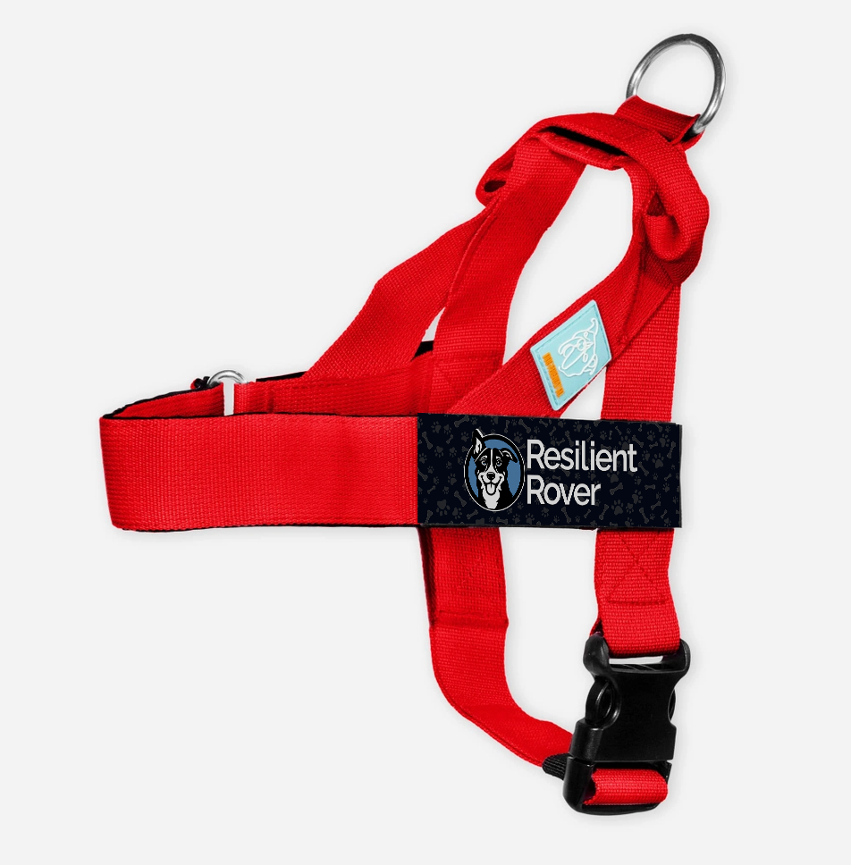Solid Color Customizable Harness from Dog Friendly Co.