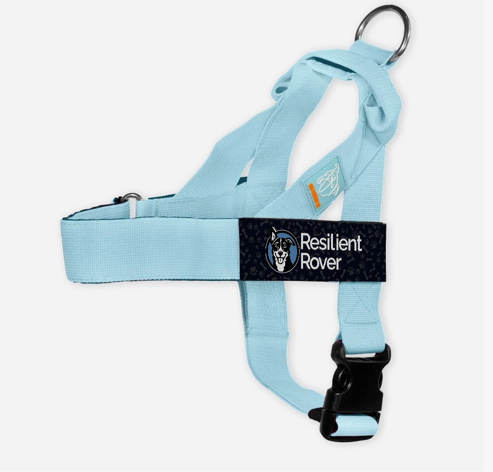 Solid Color Customizable Harness from Dog Friendly Co.
