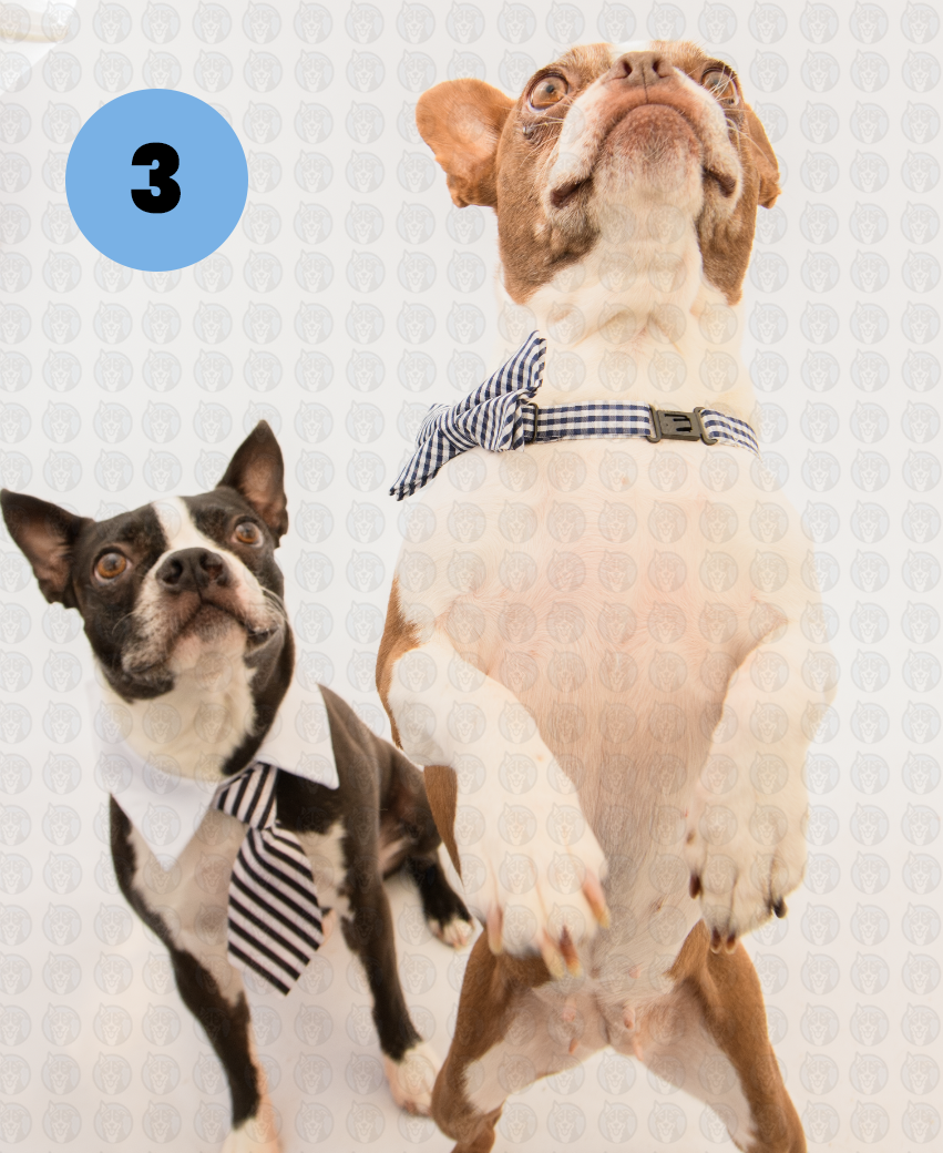 Screenshot 2026-01-12 at 11.29.22 AM copy.png