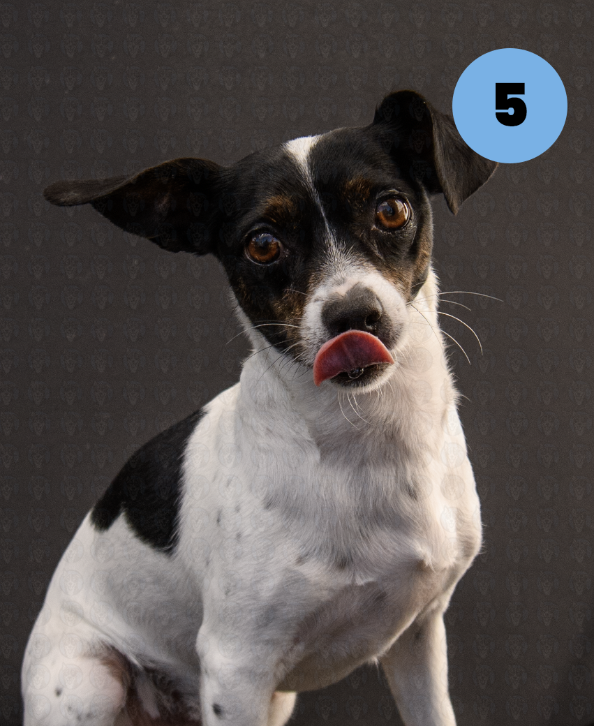 Screenshot 2025-10-24 at 1.17.48 PM copy.png