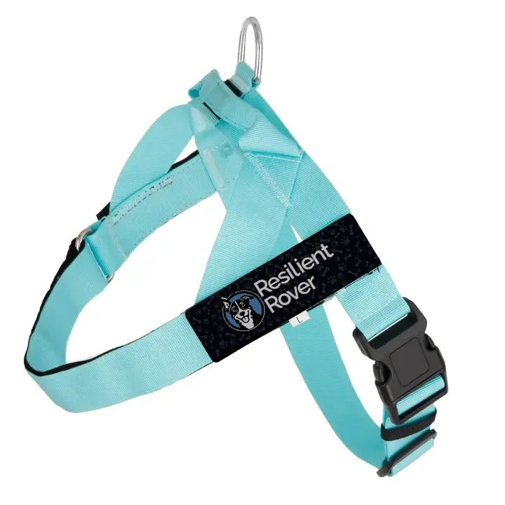 Customizable One-Clip Harness from Bullhug (They're Not Just for Bulldogs)