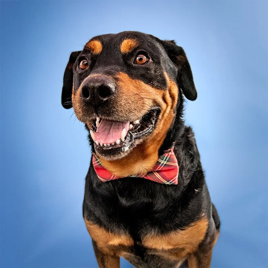 Lenny Smile_Square.jpg