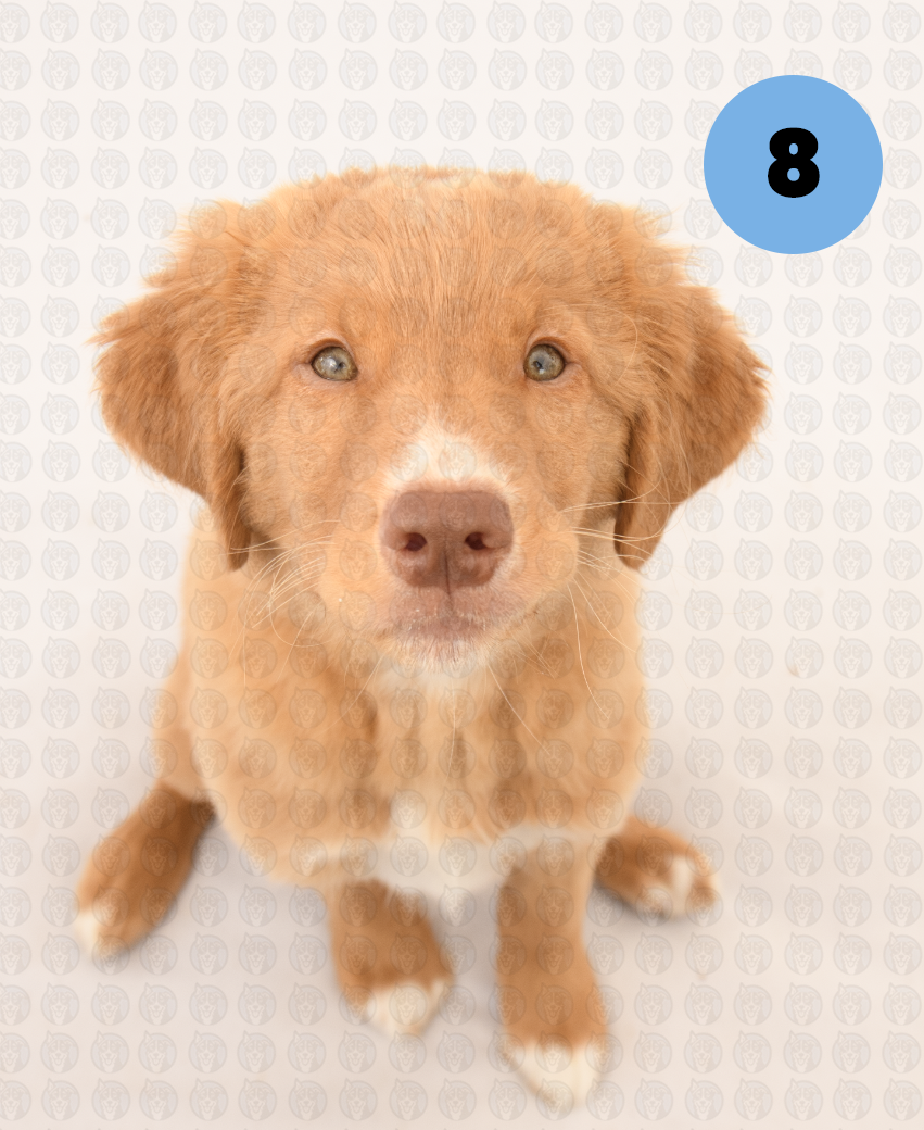 Screenshot 2026-01-12 at 11.36.04 AM copy.png