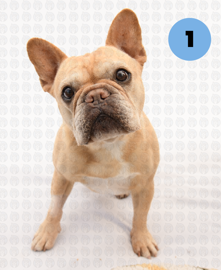 Screenshot 2026-01-12 at 11.52.52 AM copy.png