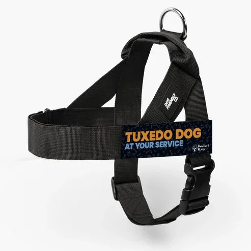 Tuxedo_DF Harness_Black.jpg