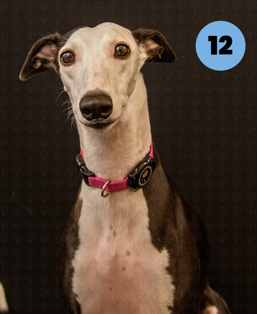 Screenshot 2025-10-24 at 2.13.36 PM copy.png