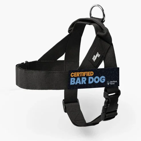 Certified Bar Dog.jpg