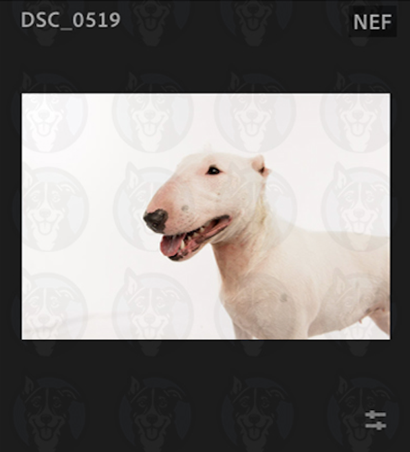Screenshot 2025-02-01 at 8.51.23 AM.png