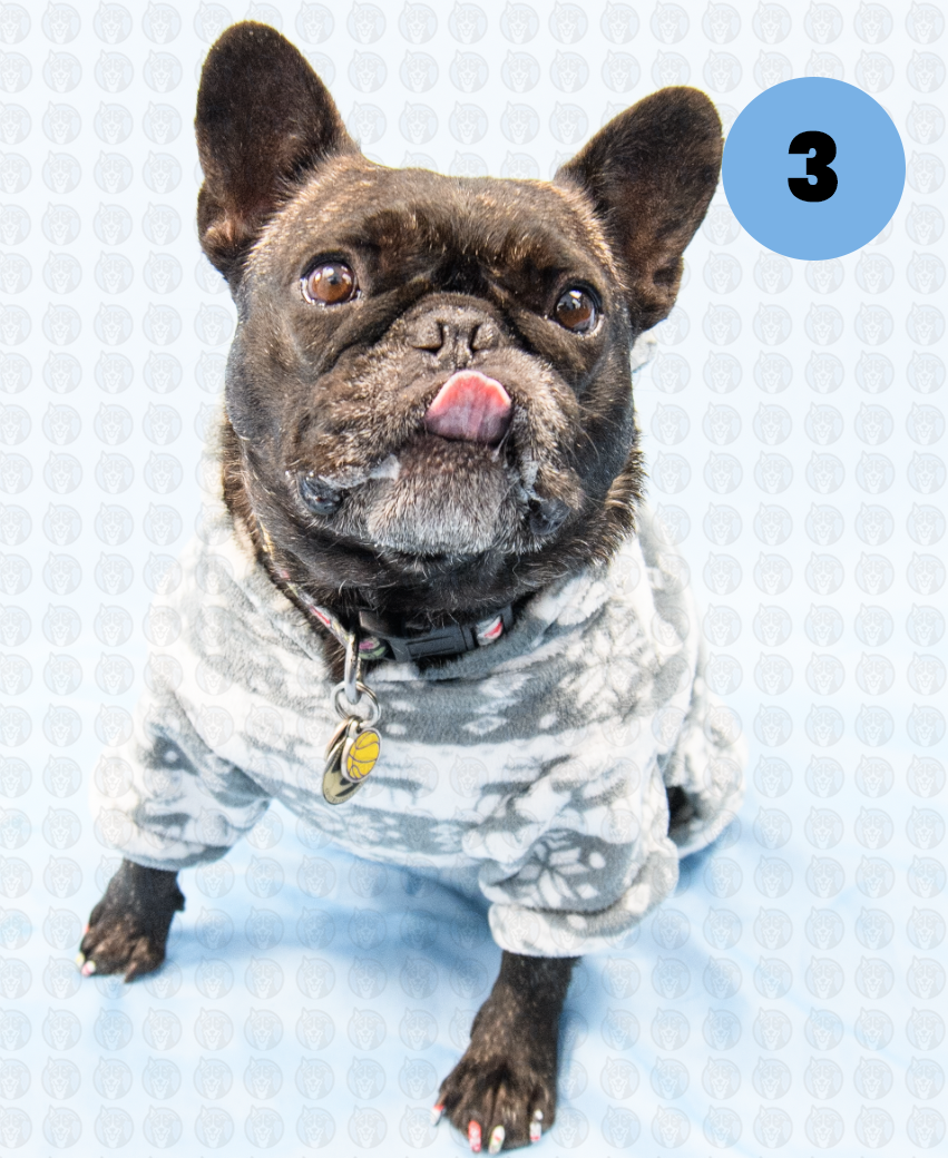 Screenshot 2025-12-16 at 10.00.52 AM copy.png