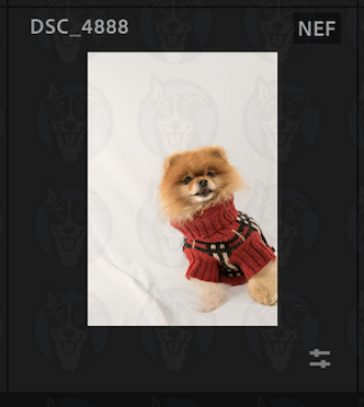 Screenshot 2025-02-12 at 11.03.28 AM.png