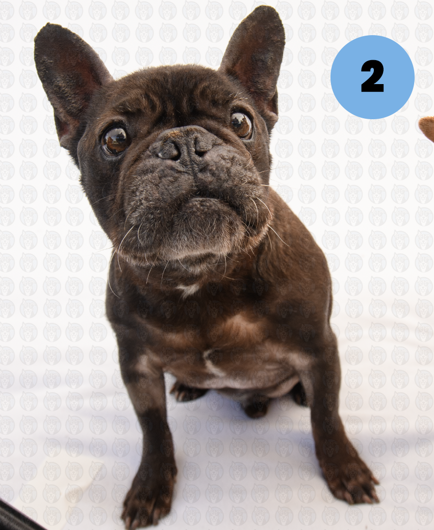 Screenshot 2026-01-12 at 11.53.01 AM copy.png