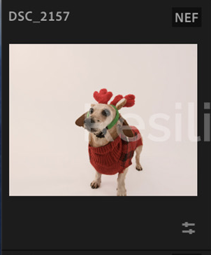 Screenshot 2024-12-18 at 9.49.05 AM.png