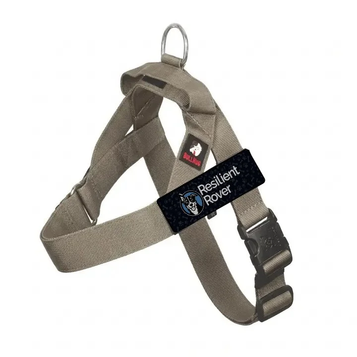 Customizable One-Clip Harness from Bullhug (They're Not Just for Bulldogs)