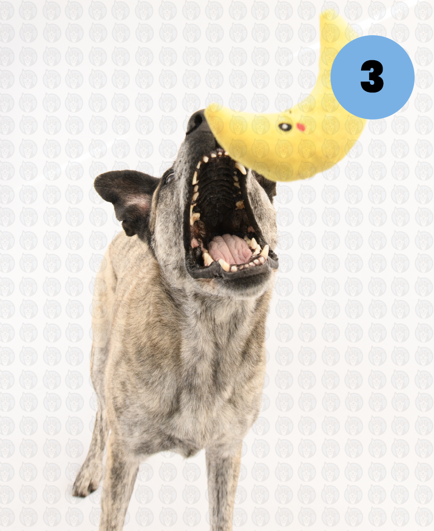 Screenshot 2026-01-12 at 11.21.56 AM copy.png