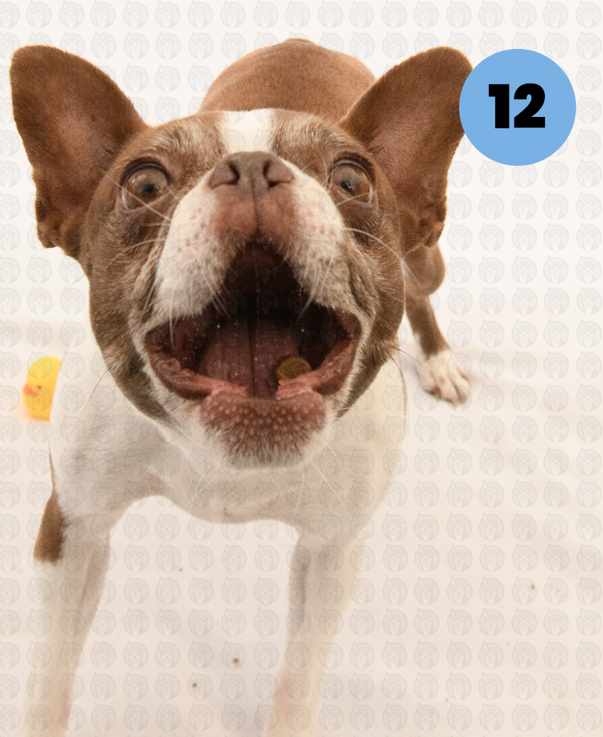 Screenshot 2026-01-12 at 11.30.19 AM copy.png