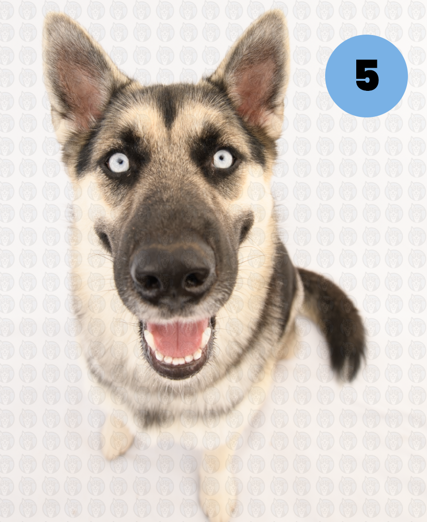 Photographer's Selects of Topaz Xiong