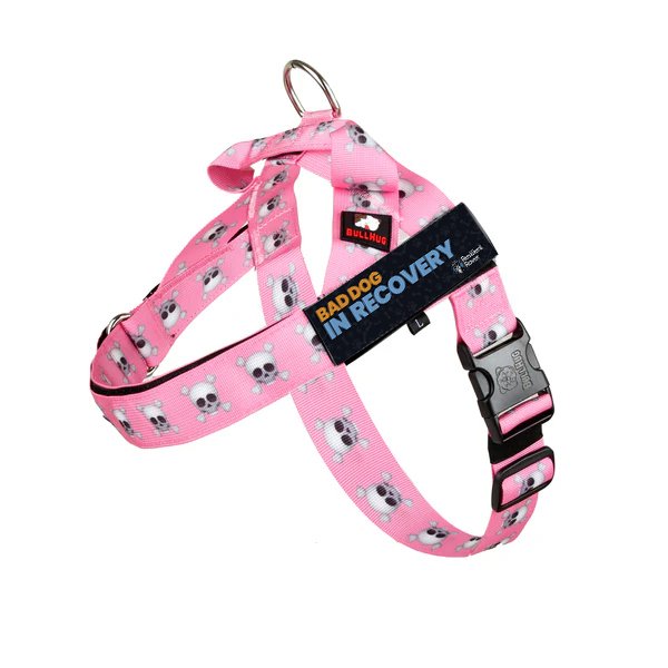 Bad Dog In Recovery_BH Harness_Pink Skulls.jpg