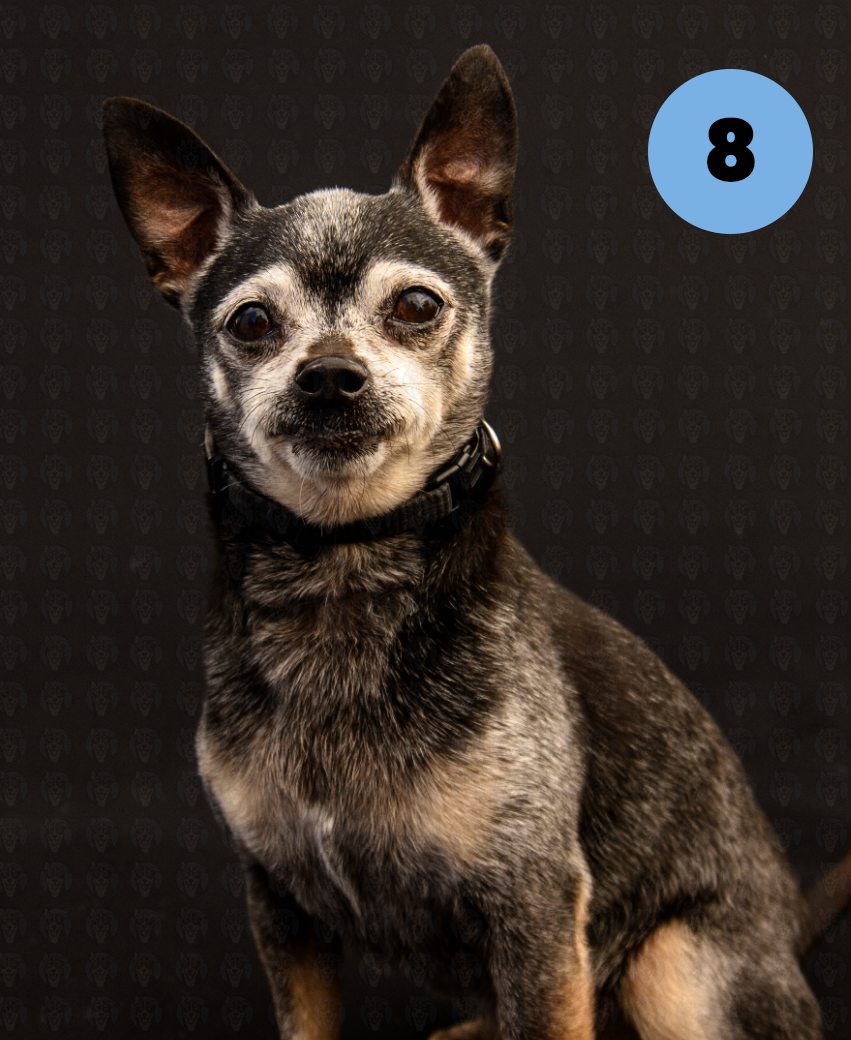 Screenshot 2025-10-24 at 2.43.36 PM copy.png