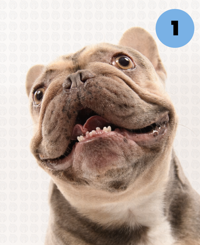 Screenshot 2025-09-30 at 9.14.49 AM copy.png