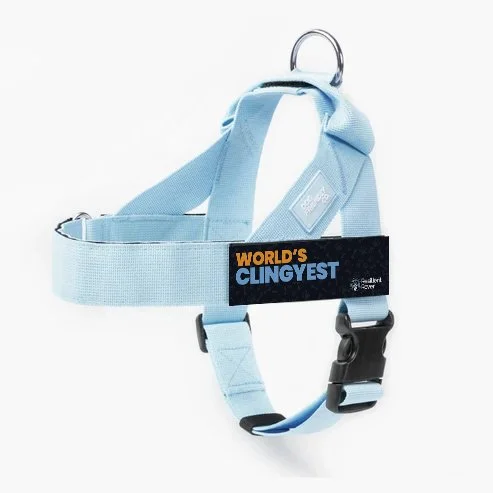 W-Clingyest_DF Harness_Sky Blue.jpg
