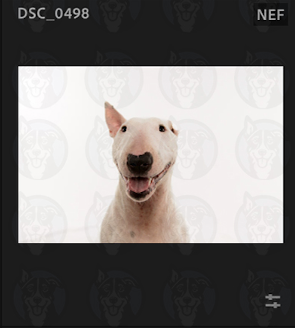 Screenshot 2025-02-01 at 8.51.20 AM.png