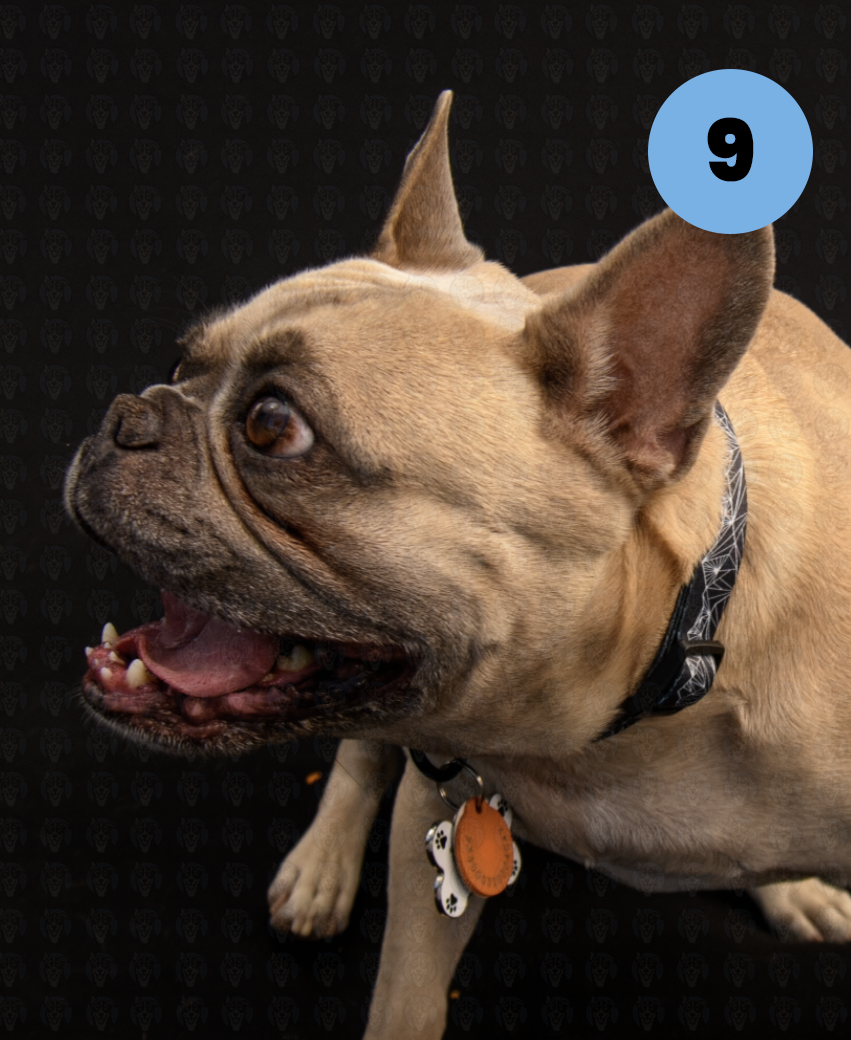 Screenshot 2025-10-24 at 1.42.53 PM copy.png