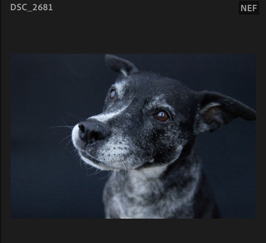 Screenshot 2024-10-28 at 2.08.53 PM.png