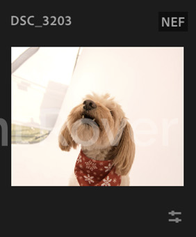 Screenshot 2024-12-18 at 9.14.28 AM.png