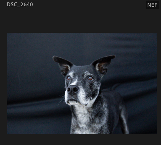 Screenshot 2024-10-28 at 2.09.46 PM.png