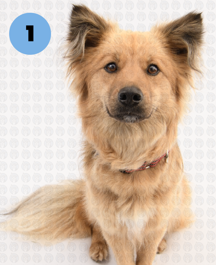 Screenshot 2026-01-12 at 11.14.15 AM copy.png