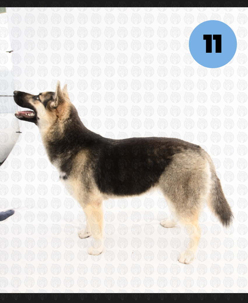 Screenshot 2026-01-12 at 11.40.25 AM copy.png