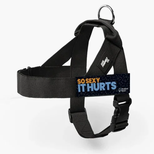 So Sexy It Hurts.jpg