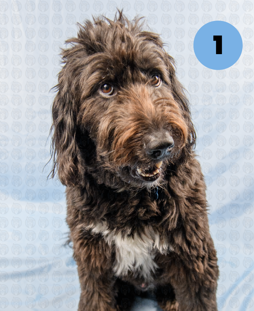 Screenshot 2025-12-22 at 7.01.36 AM copy.png