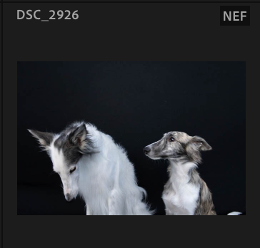 Screenshot 2024-10-29 at 8.20.56 AM.png