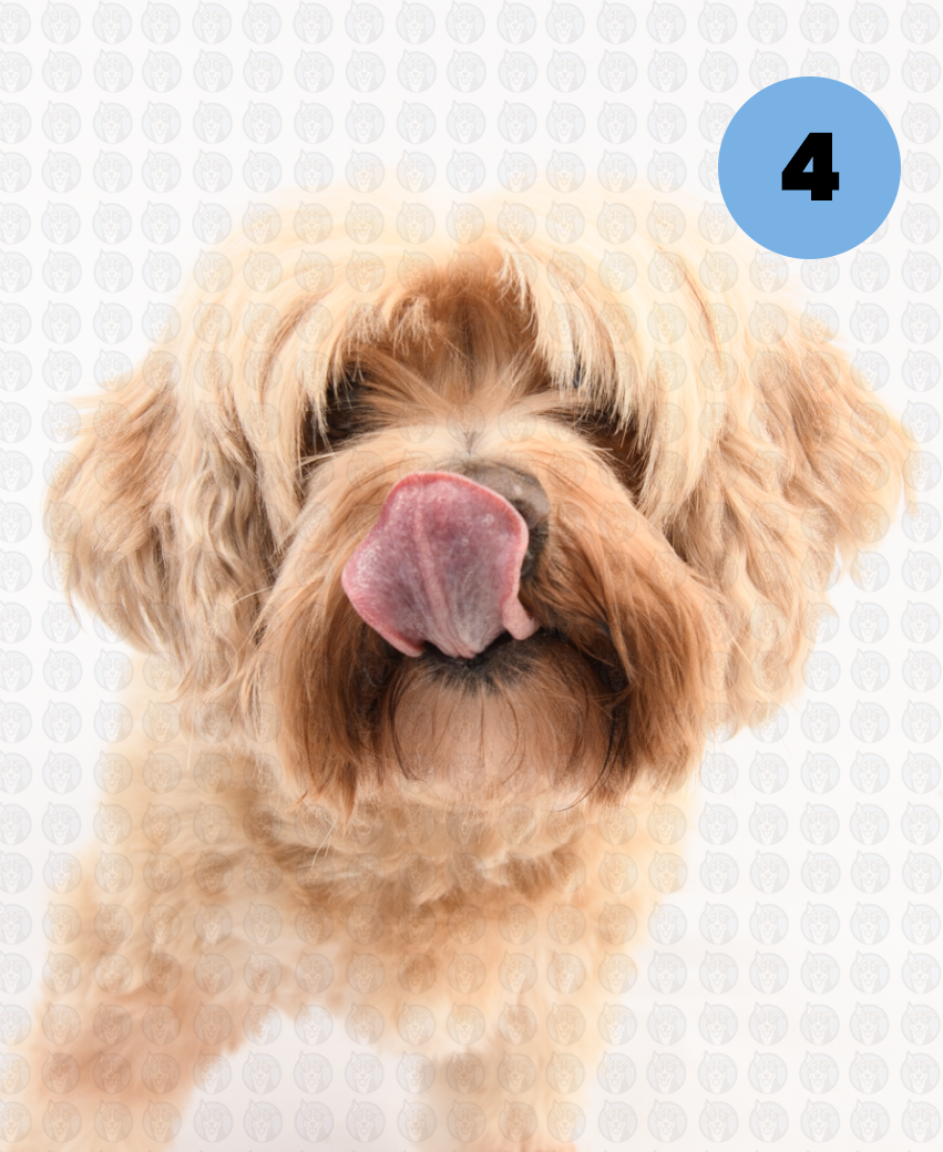 Screenshot 2026-01-12 at 11.18.26 AM copy.png