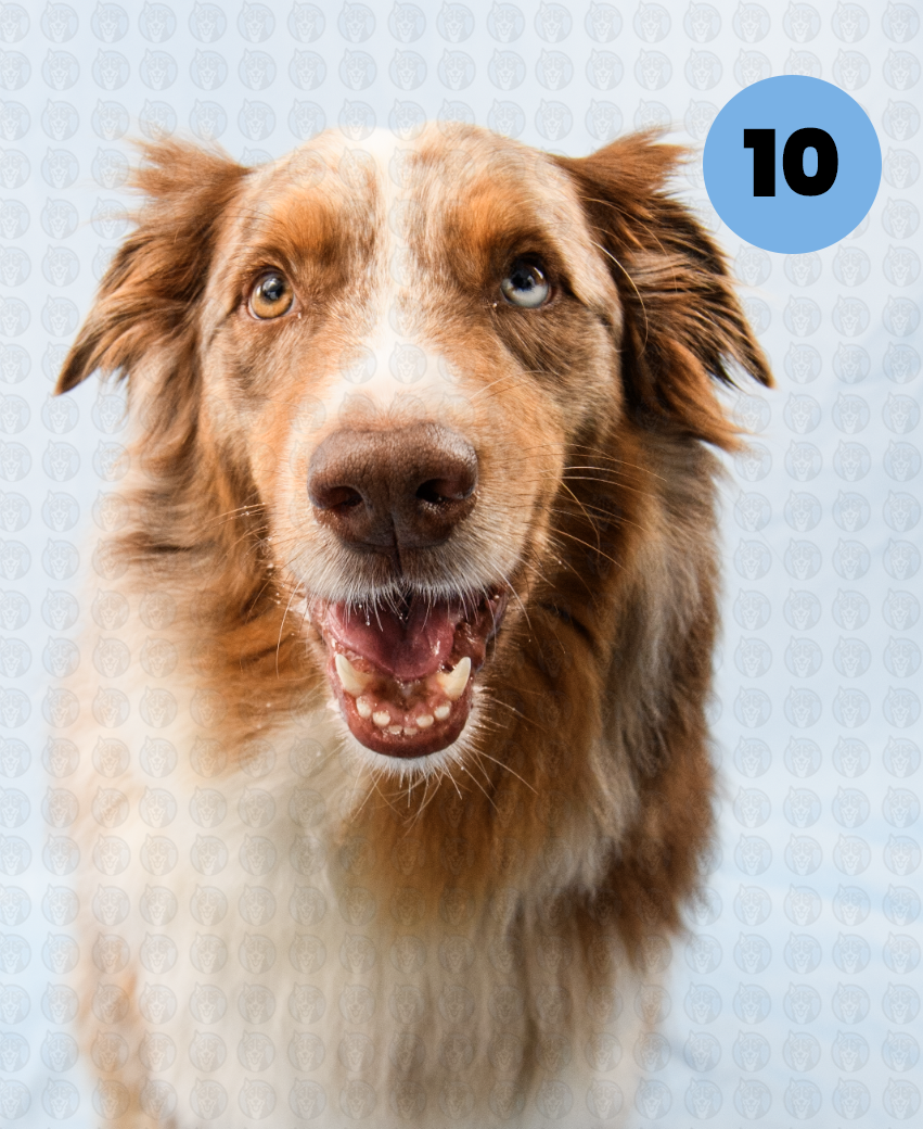 Screenshot 2025-12-16 at 9.55.17 AM copy.png