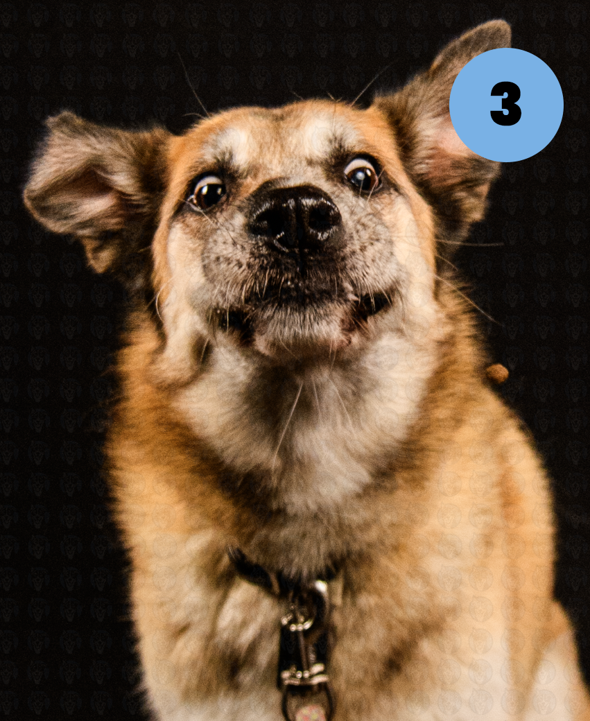 Screenshot 2025-10-27 at 8.24.57 AM copy.png