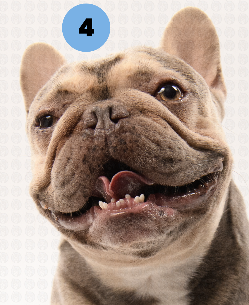 Photographer's Selects of Trogdor Almazan