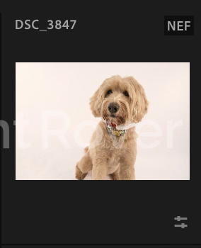 Screenshot 2024-12-18 at 8.49.28 AM.png