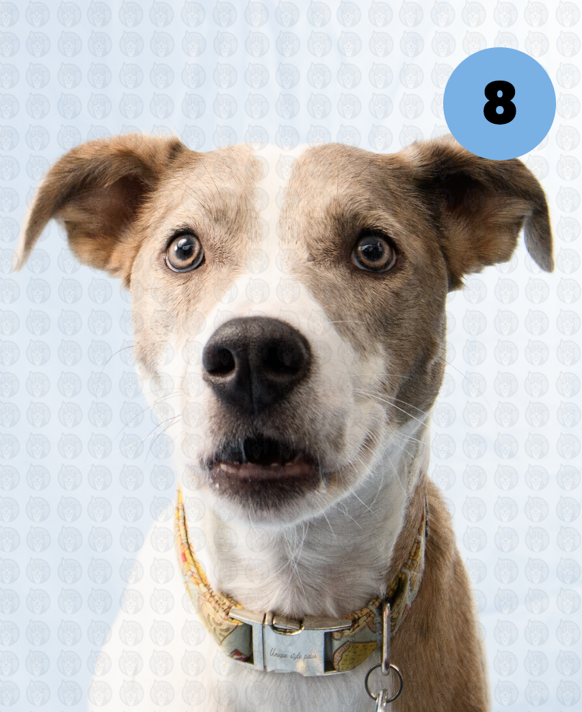 Screenshot 2025-12-16 at 9.45.22 AM copy.png